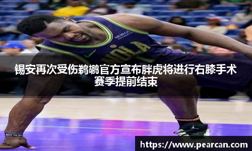 锡安再次受伤鹈鹕官方宣布胖虎将进行右膝手术赛季提前结束