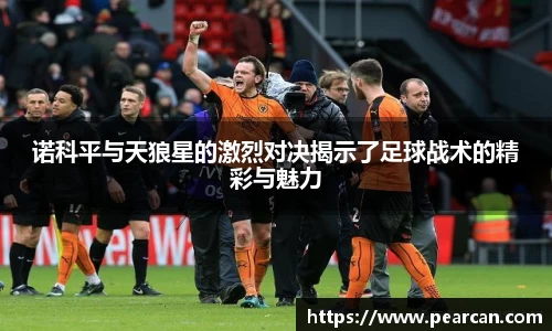 诺科平与天狼星的激烈对决揭示了足球战术的精彩与魅力